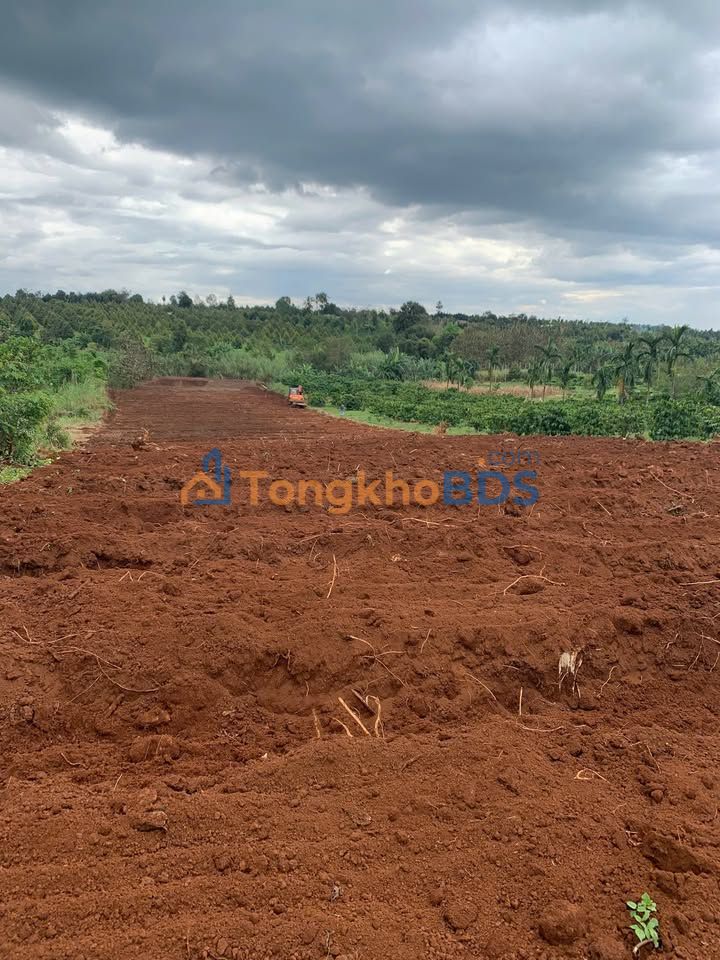 Đất Đỏ Bazan 3.6 Sào Tại Cư M'gar - Giá 1.05 Tỷ, Sẵn Sổ Hồng