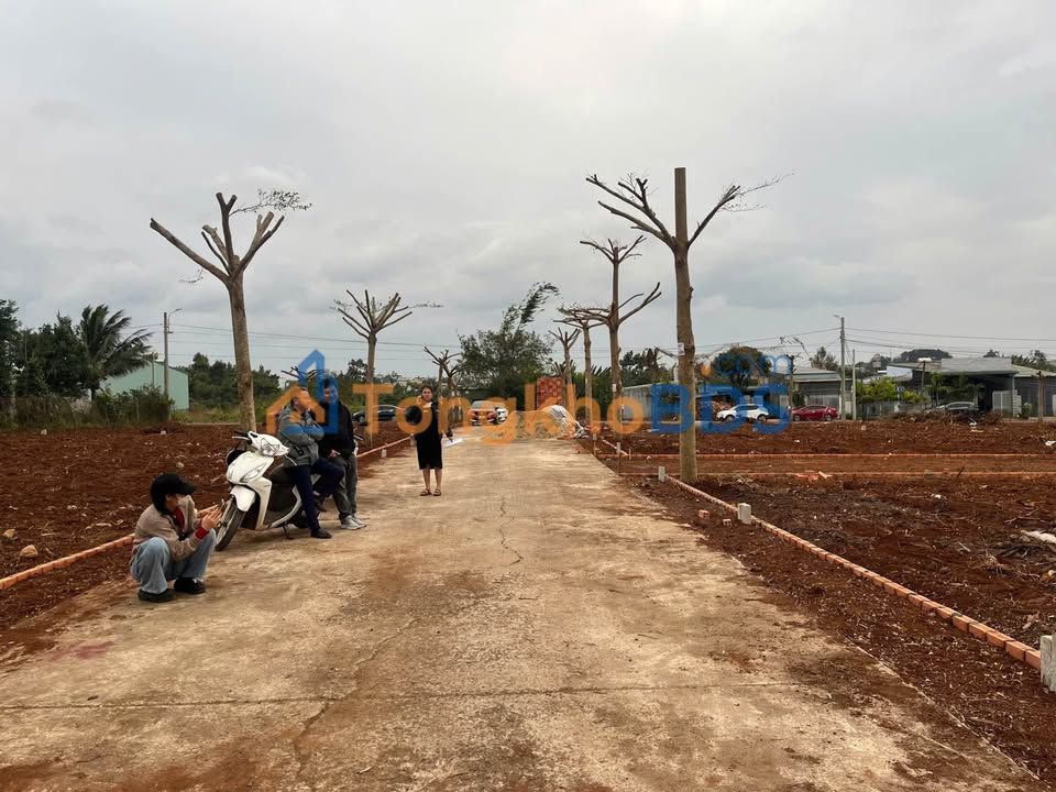 Đất nền 135m² đường Mậu Thân, Buôn Ma Thuột - Giá 1.29 tỷ, thổ cư 60m², hướng Đông Nam