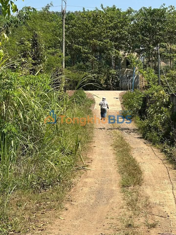 Bán Đất Vườn Đắk Lắk 1080m² - Sổ Đỏ Chính Chủ, Gần Tỉnh Lộ 683