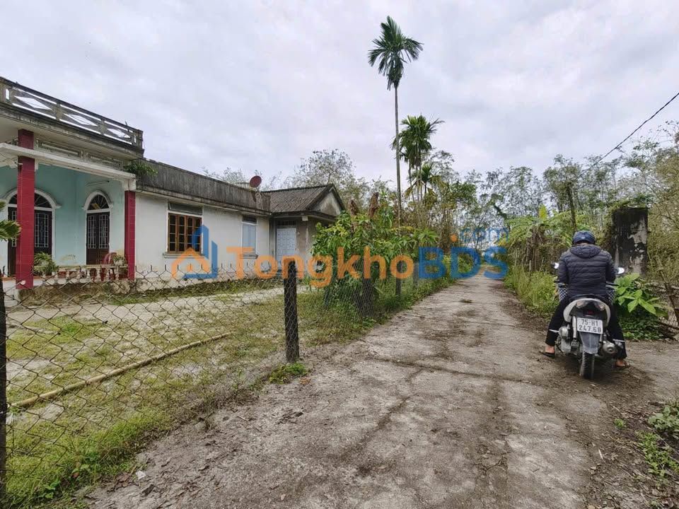 Đất Nền Phú Xuân, Huế 141m² - Sổ Đỏ Sẵn Sàng, Giá Đầu Tư 560 Triệu