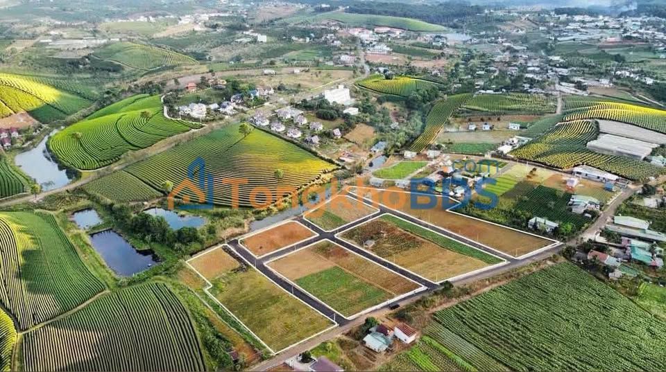 Bán Gấp 2 Lô Đất Thổ Cư P2 Bảo Lộc 130m² - Giá Đầu Tư 820 Triệu