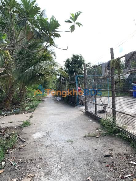 Bán Đất Vườn 8990m² Hậu Giang Giá Chỉ 990 Triệu - Cơ Hội Đầu Tư Hấp Dẫn