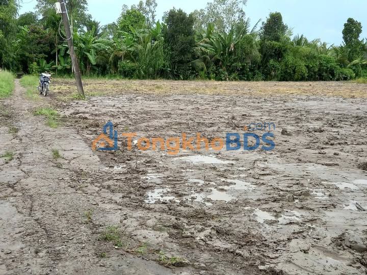 Bán đất nền Vị Thanh, Hậu Giang - 728m² giá 375 triệu, vị trí đắc địa