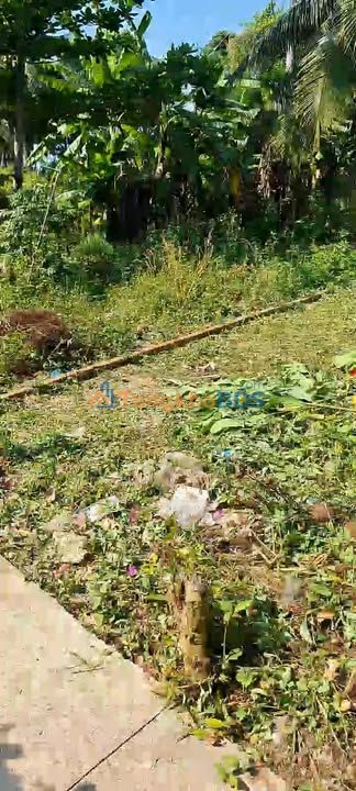 Đất nền 132.8m² Phú Khương Bến Tre - Sổ đỏ thổ cư, giá 490 triệu