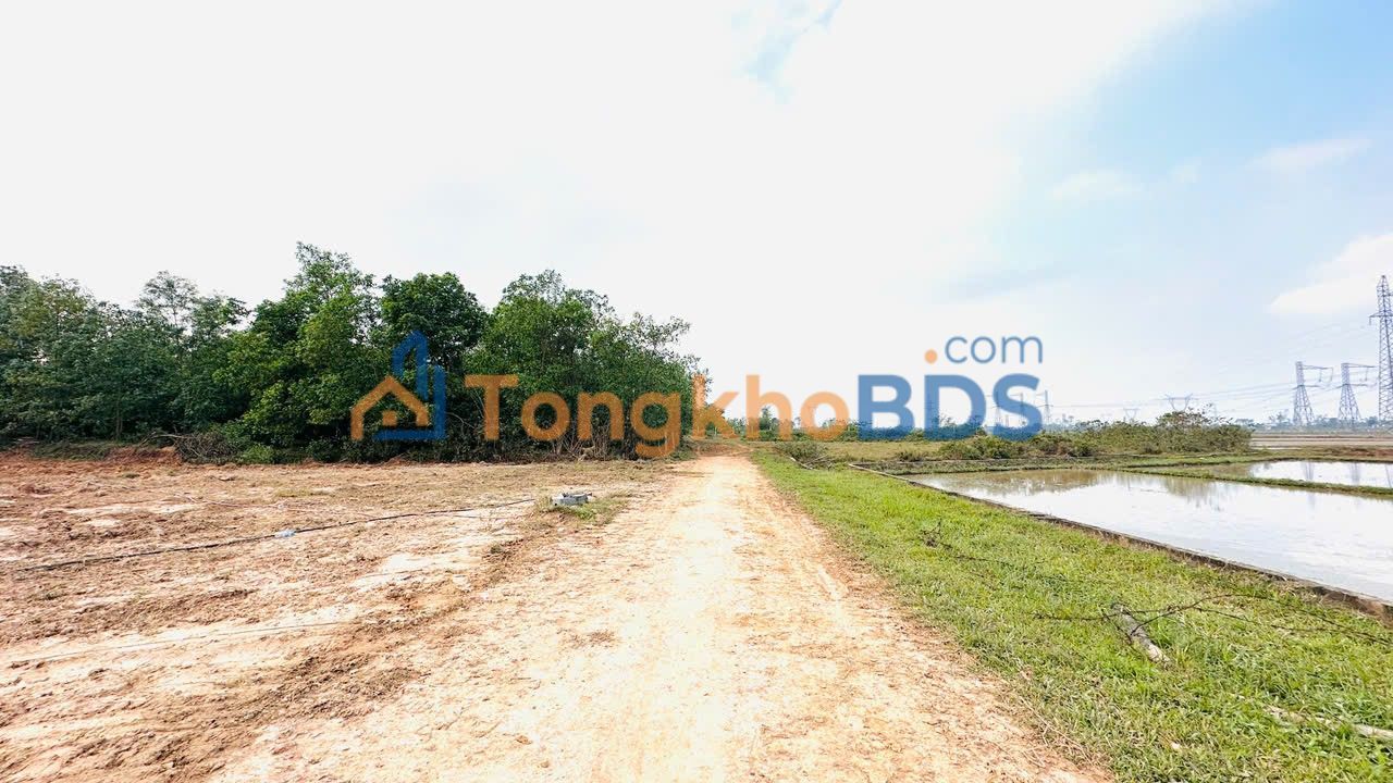 Đất nền Thạch Xuân, Hà Tĩnh 900m² - Sổ đỏ sẵn sàng, đầu tư sinh lời!