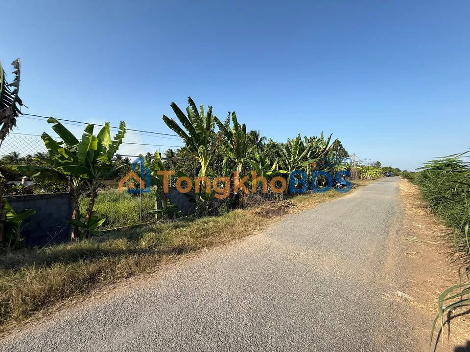 Bán Đất Vườn Ao Cá 2420m² Tiền Giang - Giá 1.5 Tỷ - Sẵn Sàng Đầu Tư