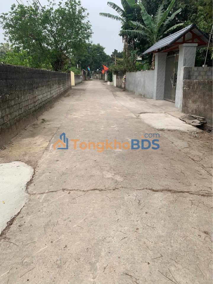 Bán đất nền Thôn 2 Quang Trung, TX Bỉm Sơn 164m² - Sẵn sàng đầu tư