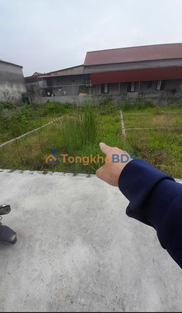 Bán Gấp Đất An Lão, Hải Phòng 64.5m² - Sổ Đỏ Sẵn Sàng