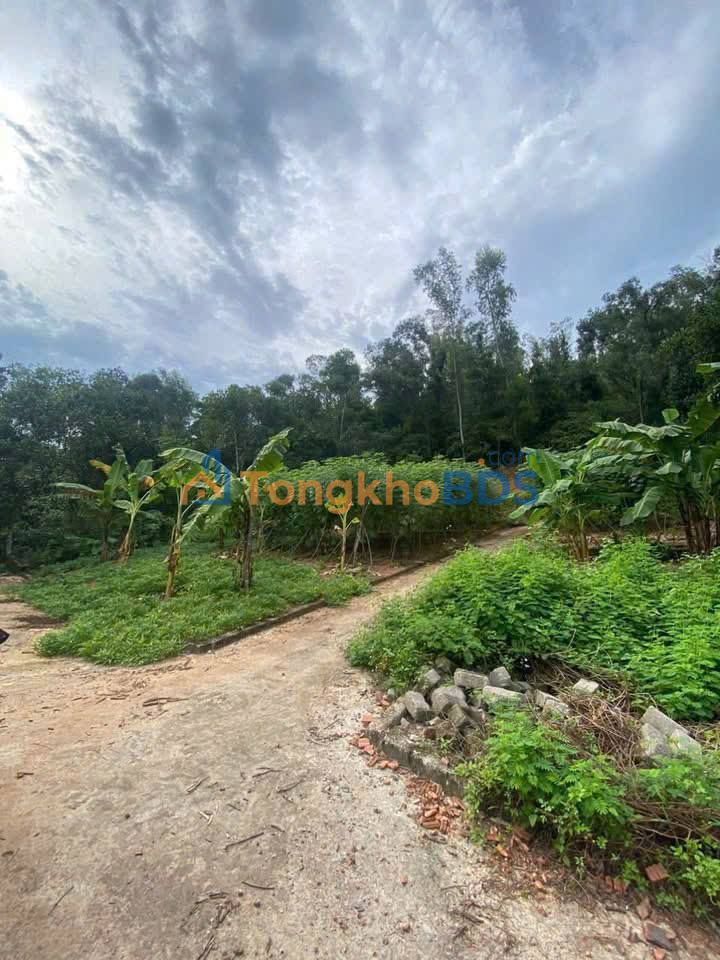 Đất nền 70m² Kỳ Sơn, Hải Dương - Giá 295 triệu, view sơn thủy hữu tình