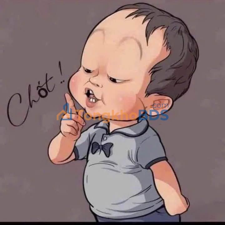 Bán Đất 48m² Ngõ 172 Cát Linh, Hải An - Sổ Đỏ Chính Chủ, Giá 1.4 Tỷ