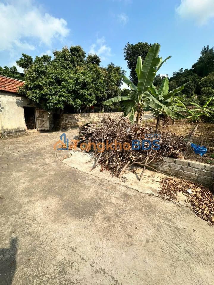 Đất nền Sổ đỏ 60m² Việt Khê, Thủy Nguyên - Chỉ từ 320 triệu