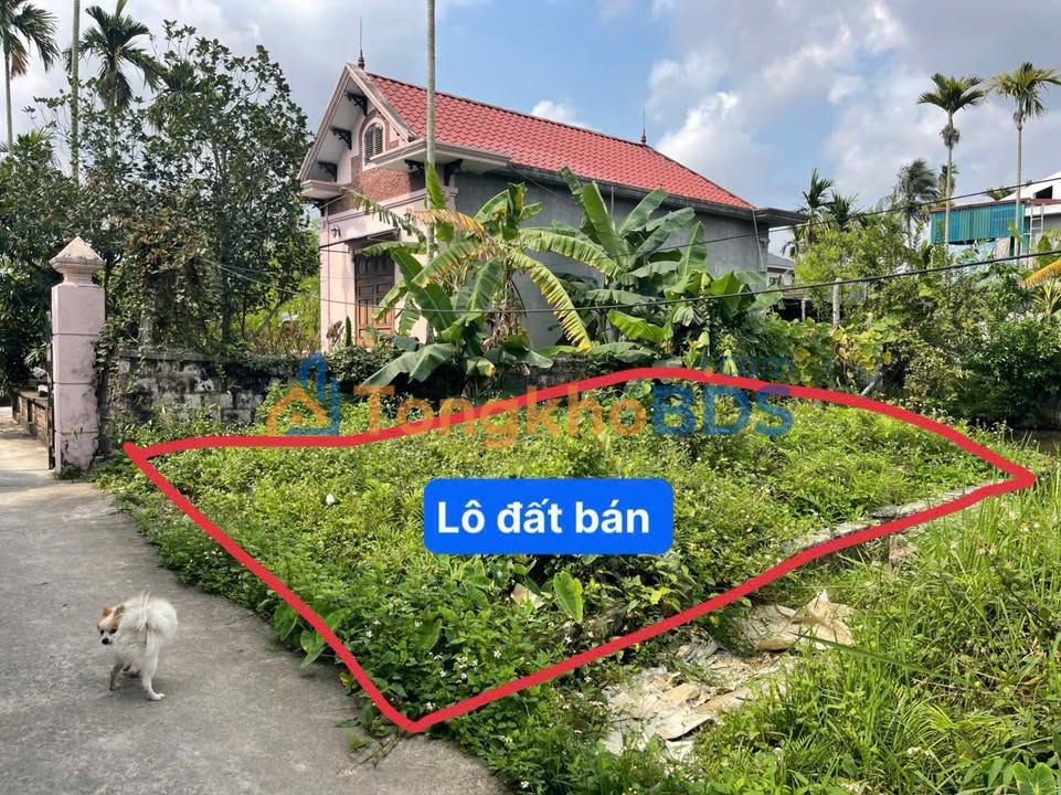 Bán Đất Thủy Nguyên, Hải Phòng 58m² Giá Tốt - Sổ Đỏ Sẵn Sàng