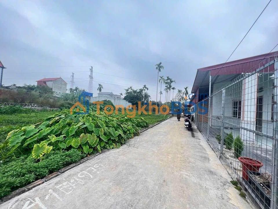 Bán đất Kiến Thụy, Hải Phòng 60.8m² - Vuông vắn, giá tốt