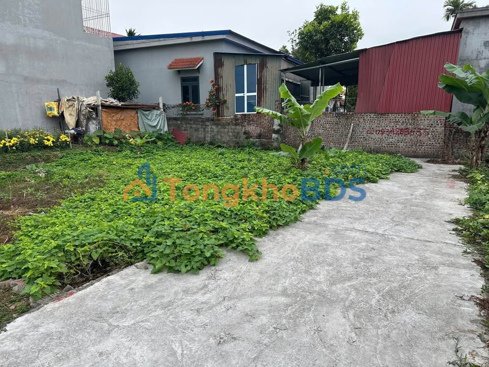 Đất nền An Dương 50m² - Ngõ ô tô, Sổ đỏ, Giá 1.2 tỷ