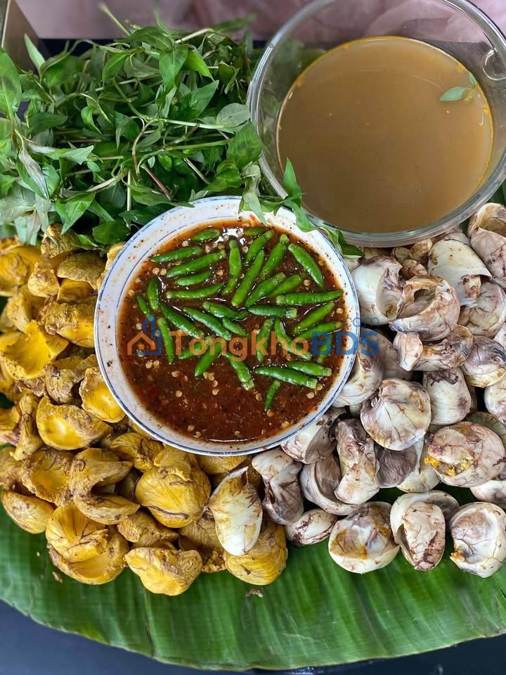 Nhà 1 Trệt 2 Lầu MT Lưu Hữu Phước, Vũng Tàu - 126m² - Giá 8.2 Tỷ