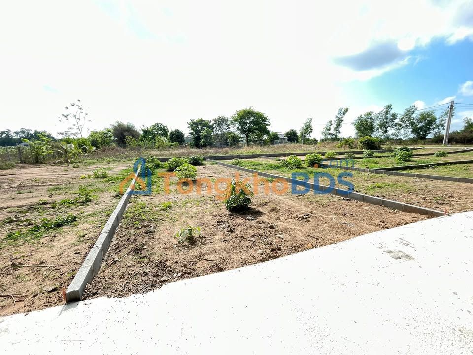 Đất nền 99m² Thị trấn Đất Đỏ - Giá Sốc 550 Triệu, Sổ Hồng Riêng