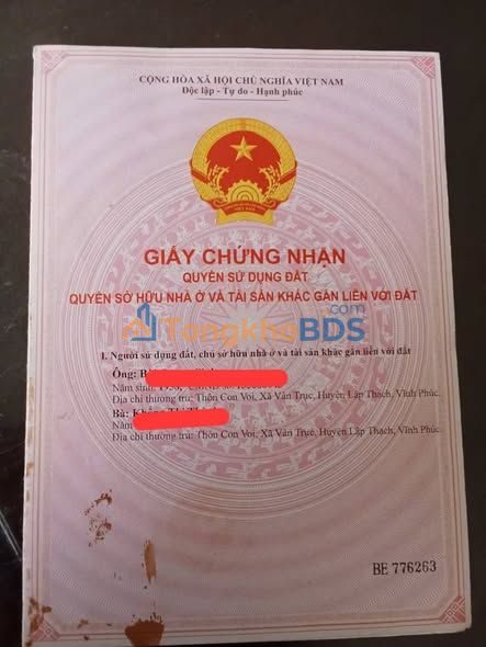 Bán Gấp Đất Rừng 11.000m² Núi Con Voi, Vĩnh Phúc - Cơ Hội Đầu Tư Sinh Lời