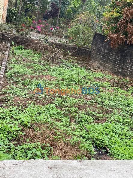 Đất nền Văn Giang 58m² Sổ đỏ - Giá chỉ 1.8 tỷ, ô tô vào đất