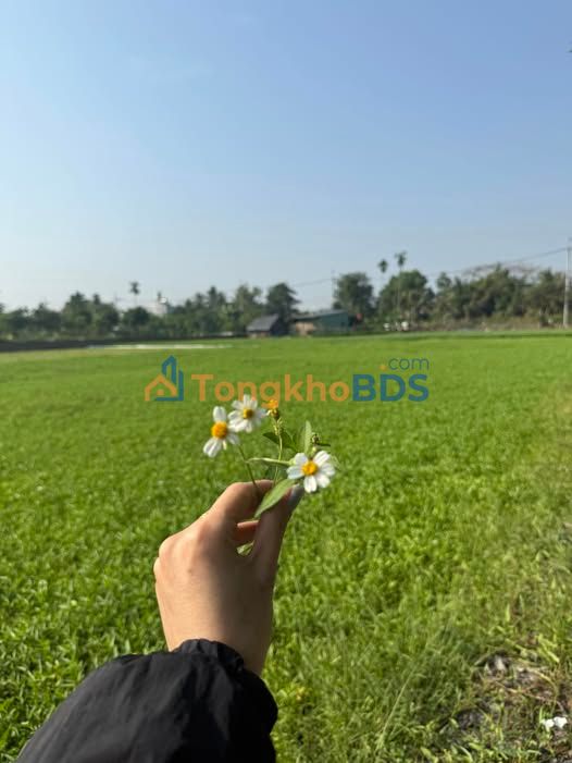 Cho Thuê Nhà Vườn 600m² Củ Chi - Giá 4 Triệu/Tháng, Sẵn Ở Ngay