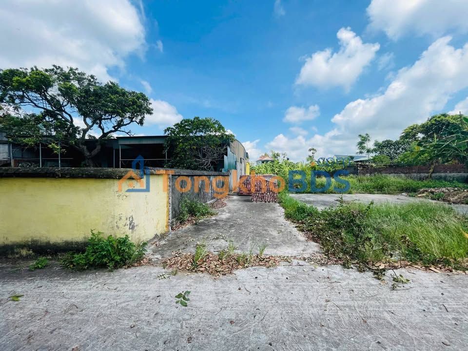 Bán đất vuông vắn 54m² Xã Vũ Đông, Thái Bình - Sổ đỏ sẵn sàng, giá chỉ 9xx triệu