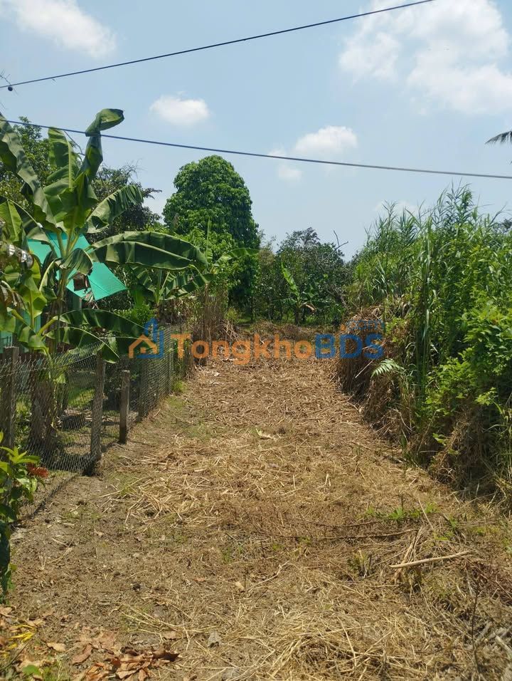 Bán Gấp Đất Thổ Cư Mỹ Khánh, Cần Thơ - 88m² Chỉ 450 Triệu