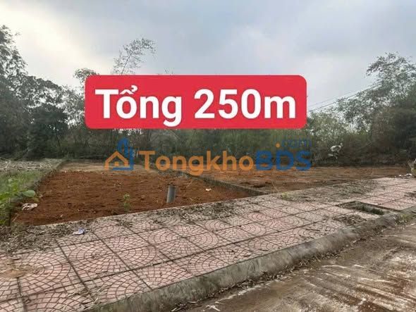 Đất Lập Thạch Vĩnh Phúc 250m² - Mua 1 Tặng 1, Giá 6.x Tỷ