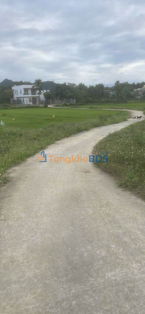 Bán Gấp Đất Vườn Đà Nẵng 1900m² - Hòa Phú, Hòa Vang