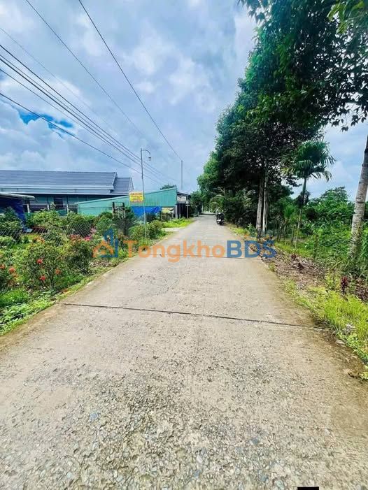 Bán Đất Vườn 30.000m² Cần Thơ - Sổ Đỏ, Lộ Ô Tô, Giá Tốt
