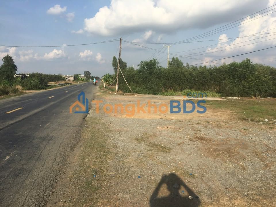 Bán Đất Nền Thủ Thừa Long An 2500m² - Mặt Tiền Đường N2 Giá 11 Tỷ