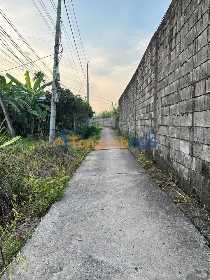 Bán Đất Vườn 510m² Phường 5 Tân An - Sổ Hồng Thổ Cư, Gần Quốc Lộ 1A