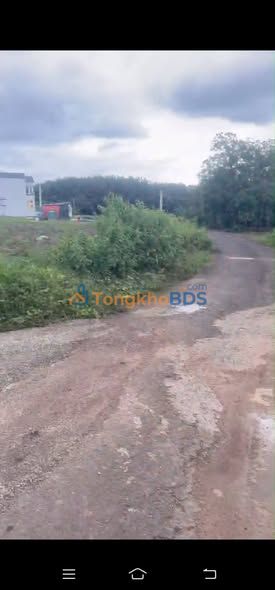 Đất Vườn 1800m² Mặt Tiền Đường Nhựa - Thủ Dầu Một Giá 700 Triệu