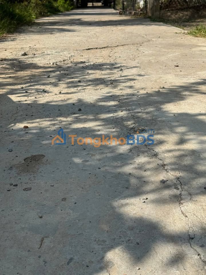 Đất Nền Xuân Đông Hóc Môn 237.5m² - Sổ Đỏ Thổ Cư, Giá 590 Triệu