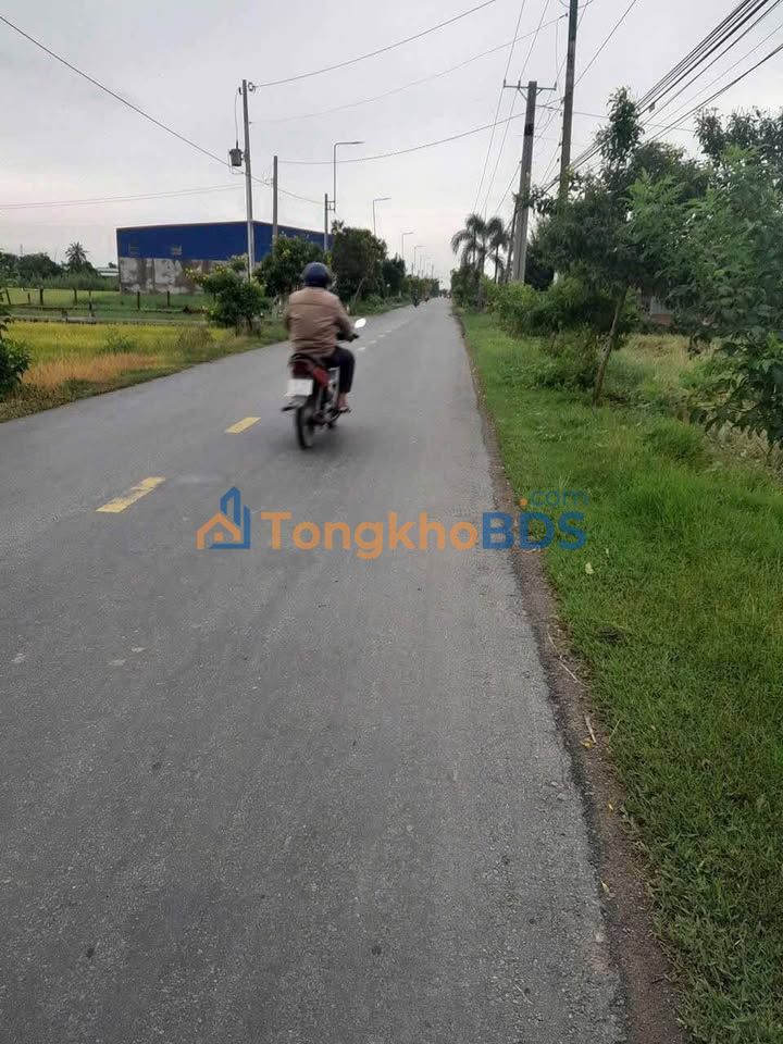 Đất Mặt Tiền Tỉnh Lộ 833B Tân Trụ - 365m² Thổ Cư, Giá 1.9 Tỷ