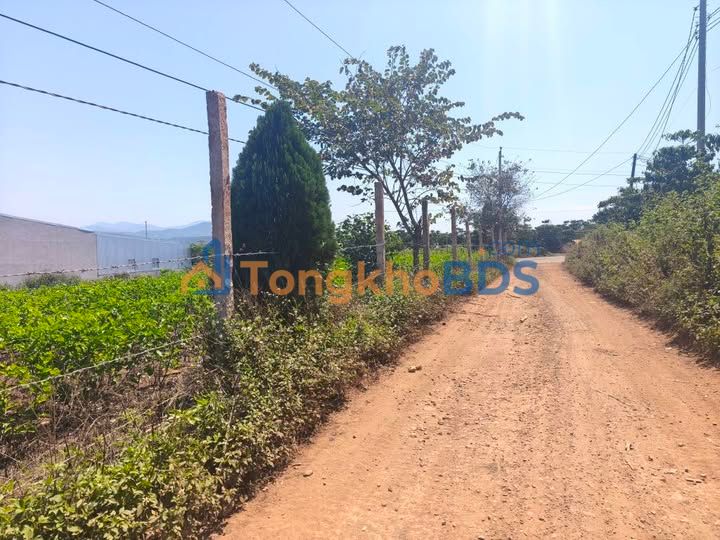 Đất Nền Sổ Hồng Riêng Lâm Hà 160m² - Giá Chỉ 660 Triệu