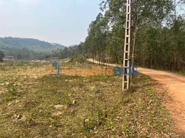 Bán Đất Vĩnh Phúc 1152m² Cạnh Suối - Giá 1 Tỷ, Gần Flamingo Đại Lải