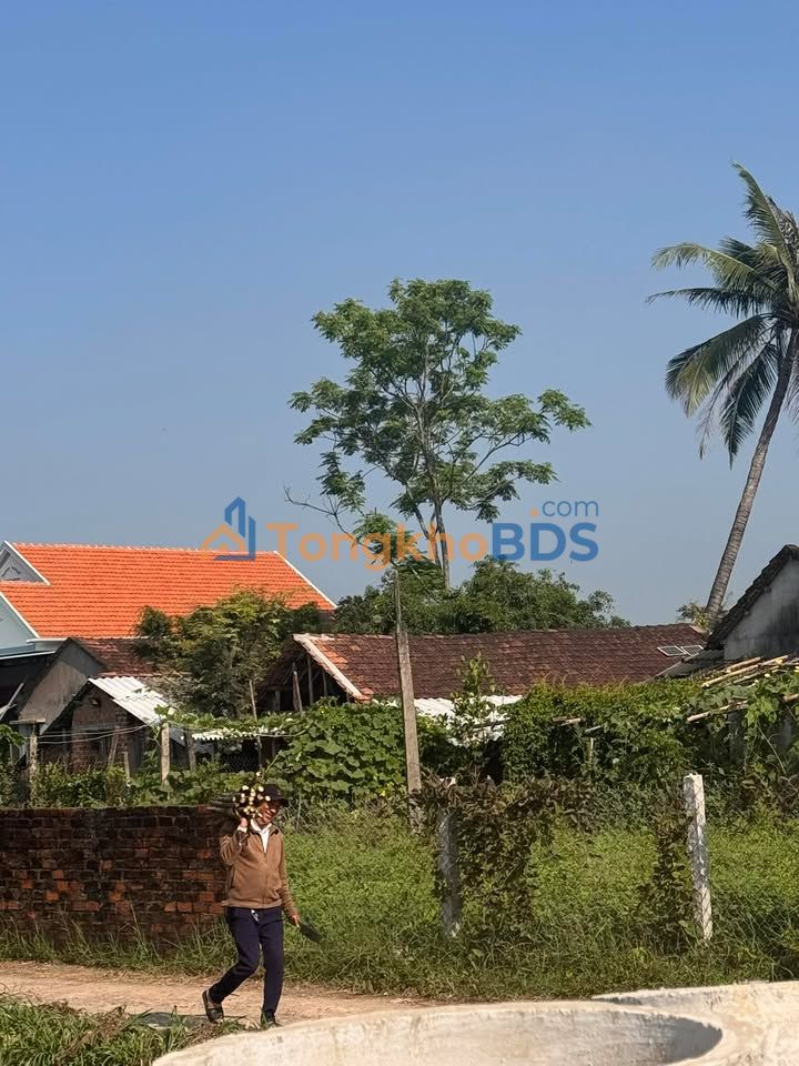 Đất Vàng Quy Nhơn 27000m² - Sổ Đỏ Xây Trọ, Nhà Vườn Đẹp