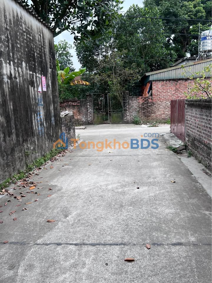 Đất Nền Từ Sơn 106m² - Ngõ Ô Tô Tránh, Sổ Sẵn, Đầu Tư Hời