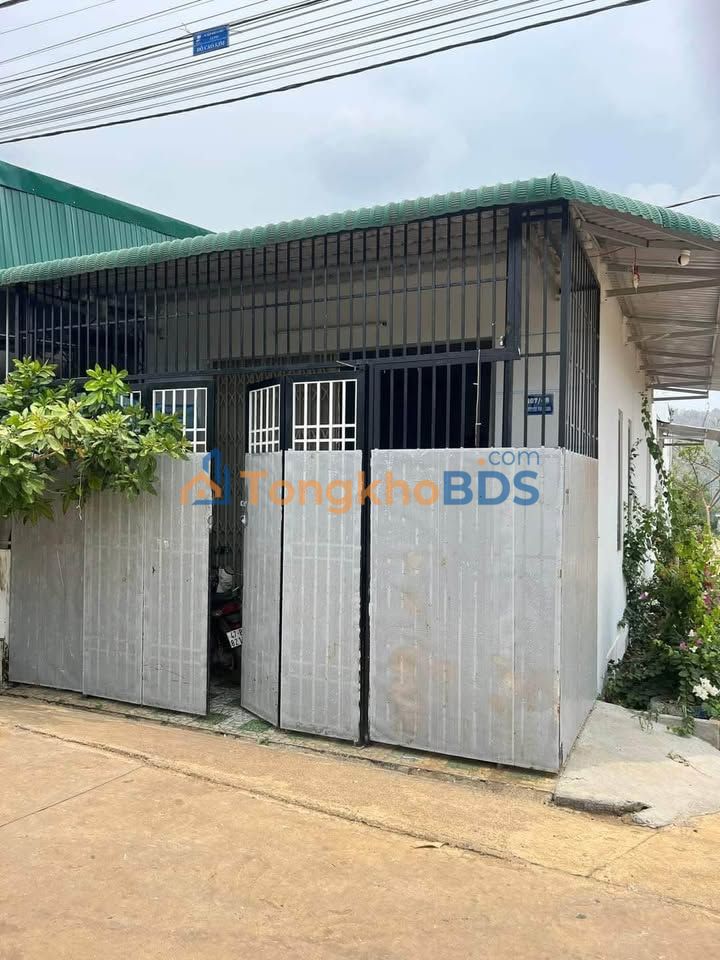 Nhà Nguyên Căn Cho Thuê Đường Nguyễn Phúc Chu, BMT - Giá 3.5 Triệu, Sẵn Ở Ngay