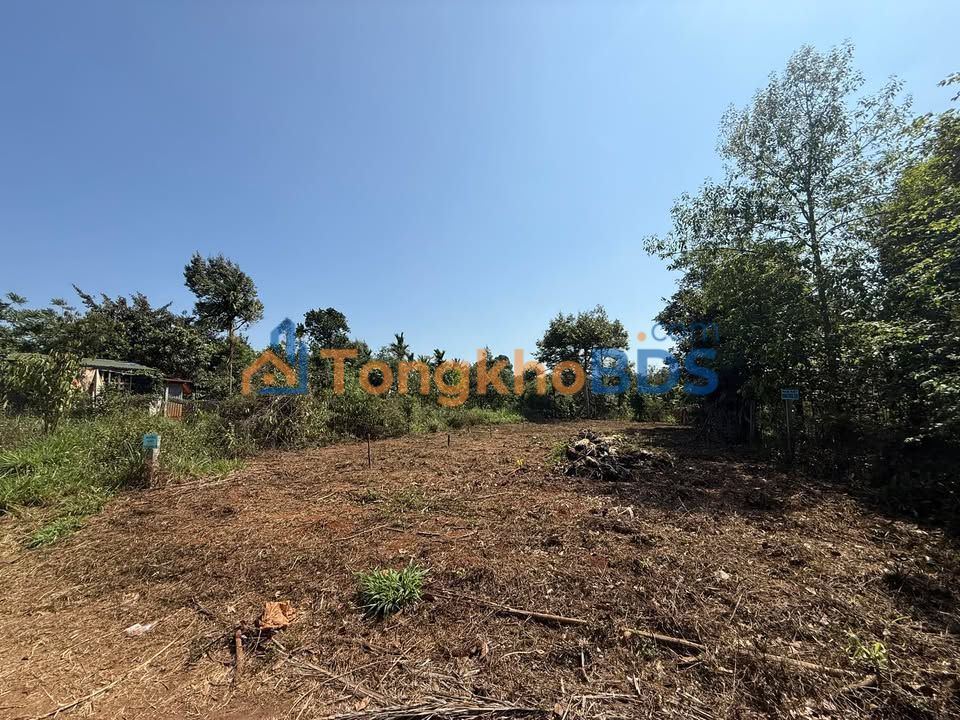 Bán Đất Hẻm Cấp 1 Nguyễn Xuân Nguyên BMT - 380m² Thổ Cư, Giá 2.4 Tỷ