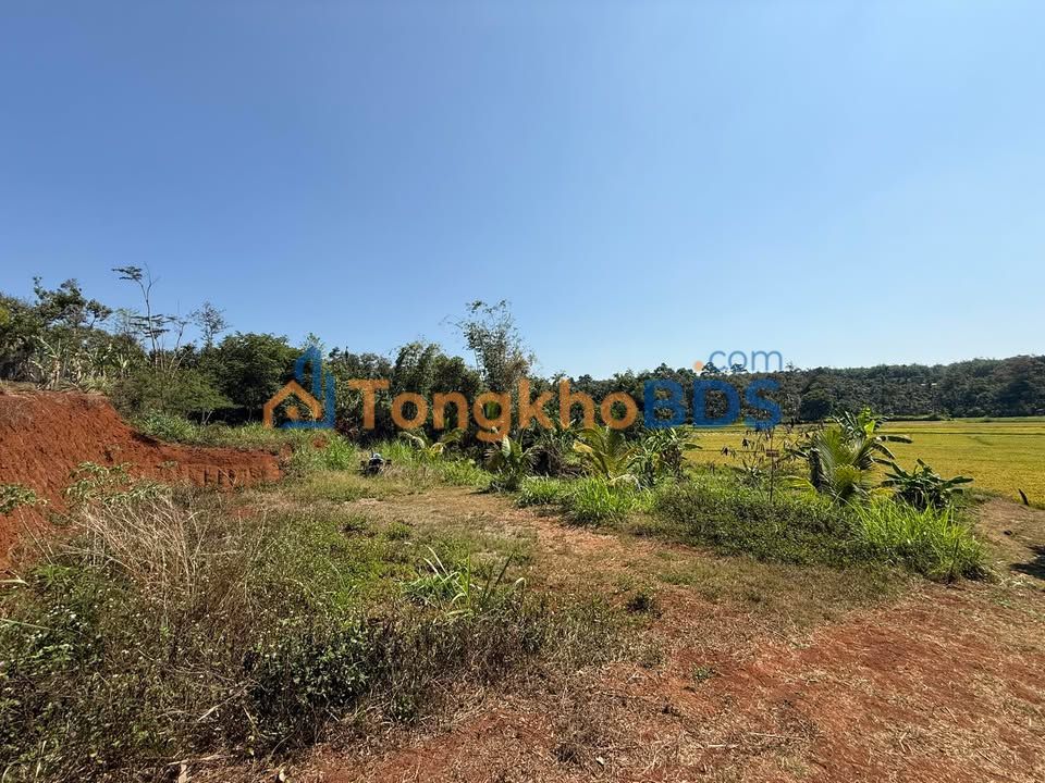 Đất Đắk Lắk 695m² View Đồng Lúa Xanh Mát - Sổ Riêng Giá 1.15 Tỷ