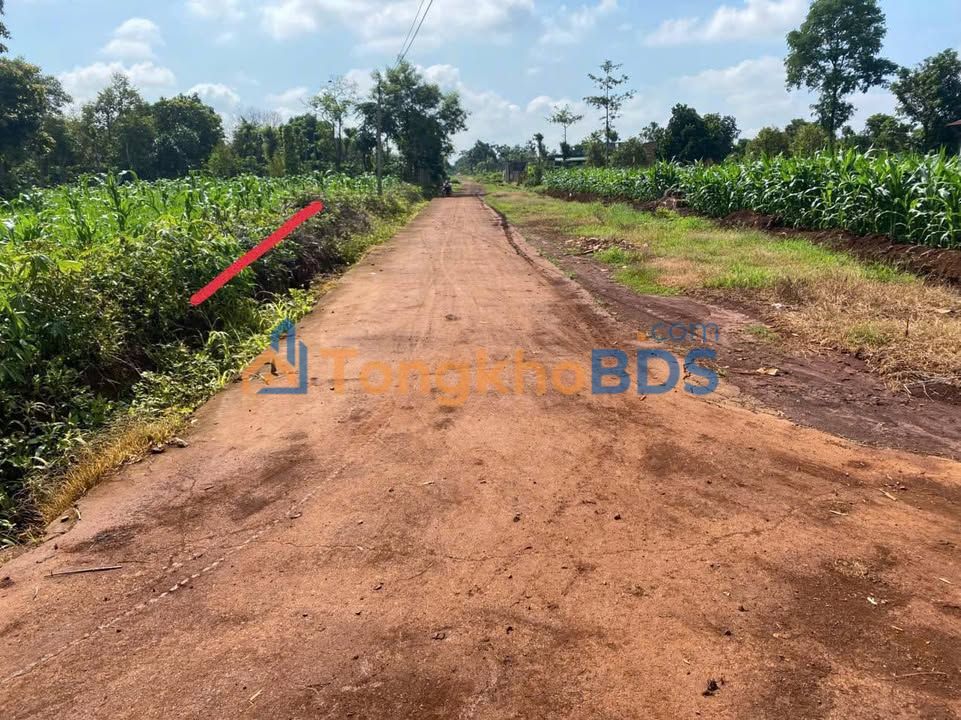 Đất nền Ea H'đing 144m² - Giá 189 triệu, Sổ hồng sẵn sàng!