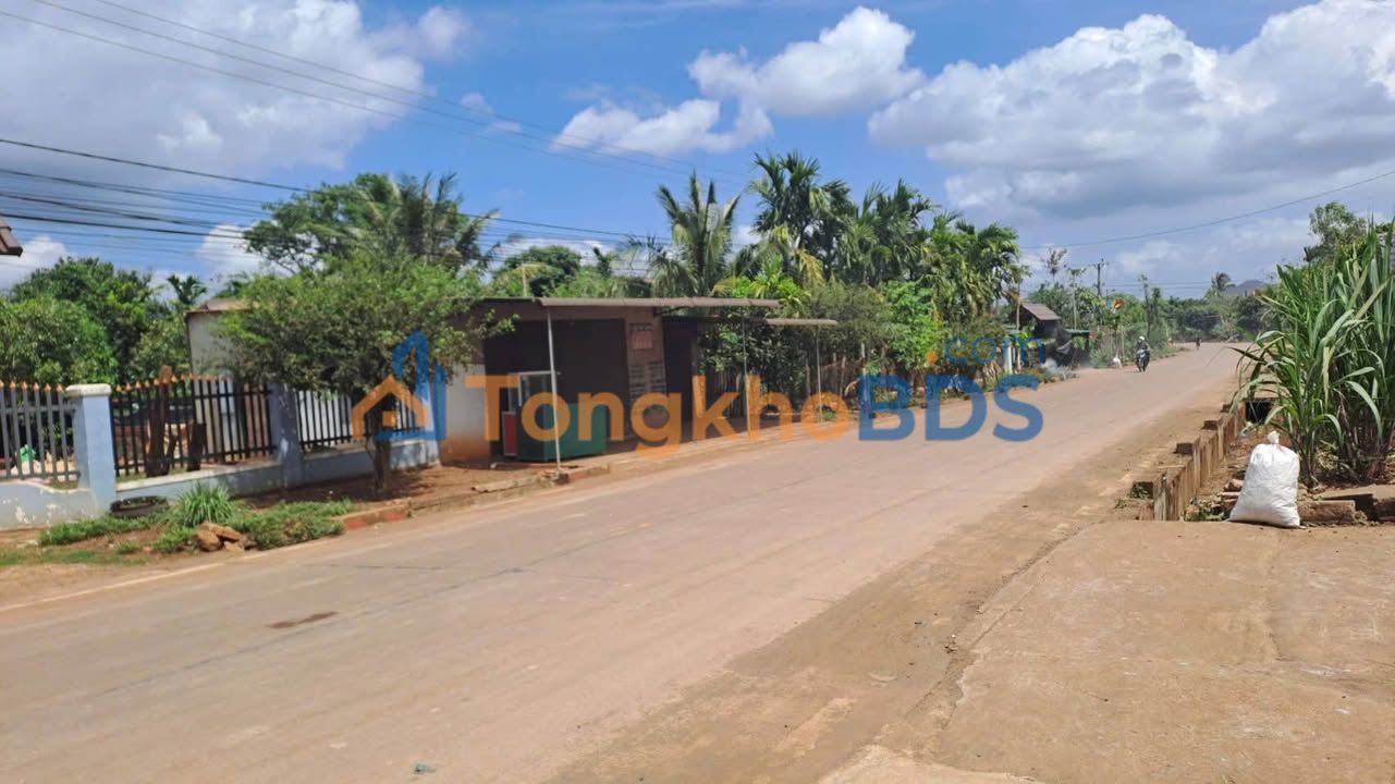 Đất nền QL29 Ea Drông, Đắk Lắk - 100m² Sổ đỏ sẵn sàng giao dịch