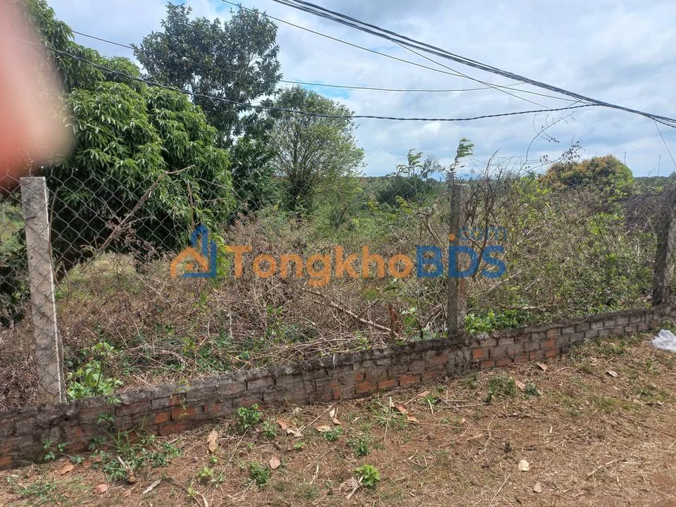 Đất Vườn Ea Dar 357m² - Sổ Hồng Riêng - Giá Đầu Tư 450 Triệu