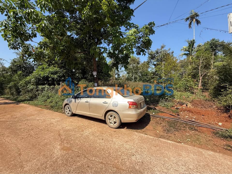 Đất nền 250m² Hẻm Nguyễn Xuân Nguyên, Buôn Ma Thuột - Giá 2 Tỷ