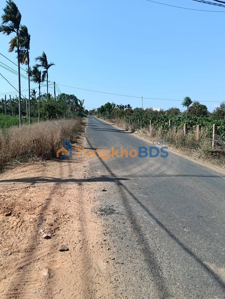 Bán Đất Eakar 200m² Sổ Đỏ Chính Chủ - Tiềm Năng Sinh Lời Cao