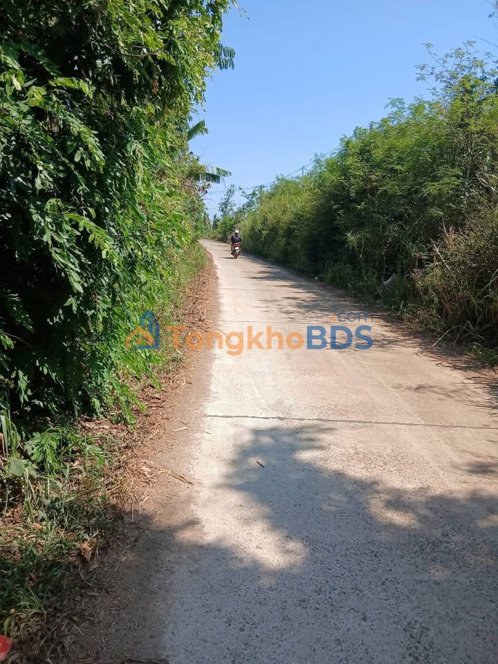 Bán Đất Nông Nghiệp 4500m² Tỉnh Phú Yên - Sổ Đỏ, Mặt Tiền Đường Lớn