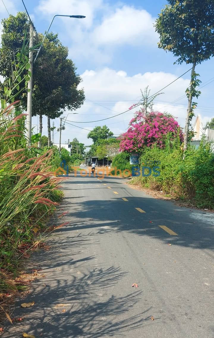 Bán Đất Nền Khu Sao Mai, Lấp Vò - 86.5m² - Sổ Đỏ Sẵn Sàng