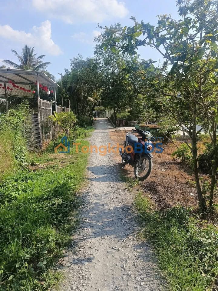 Bán Nền 250m² Tân Hưng, Cần Thơ - Gần TL922, View Sông