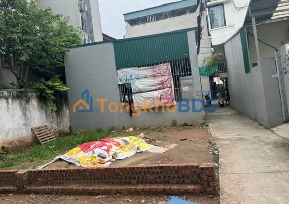 Đất Vàng Gia Lâm - 50m² Ô Tô Vào Tận Nơi - Gần Vinhomes Ocean Park