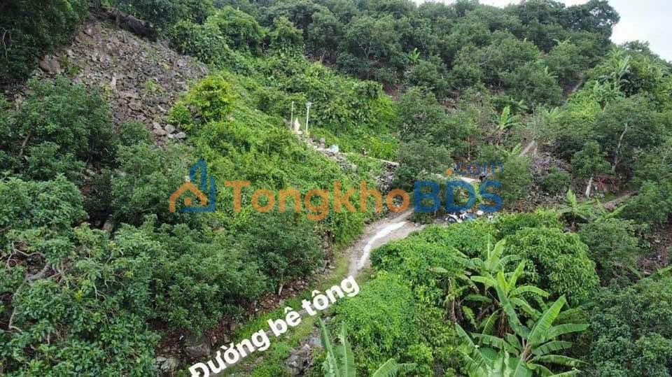 Đất Vườn Đồng Nai - 7200m² View Hồ Trị An Độc Đáo